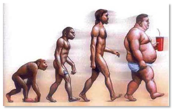 evolucion-nutricion
